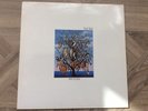 Talk Talk Spirit Of Eden Vinyl 1988 First Press