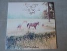 Bill Callahan Sometimes I Wish We Were An Eagle NM lp