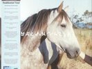 SALVIA PALTH - Melanchole - Vinyl (LP)
