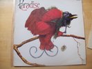 Paradise Rare Album Ebony Records EB701 Reggae Funk Soul Vinyl 1980 LP Record EX
