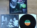 Lemonheads - It’s a Shame About Ray 1992 Vinyl LP Atlantic Records Mrs Robinson