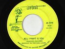 Garage 45 - Shadden & the King Lears - All I Want Is You - Arbet - mp3