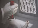 Muse Drones 2015 180gram Double Vinyl LP (New/sealed)