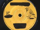 Natty Congo I - The Lions