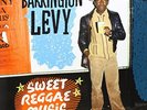 Barrington Levy - Sweet Reggae Music [Used Very Good Vinyl LP]