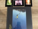 Vinyl 12