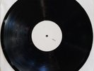 THE APPLES IN STEREO - THE DISCOVERY OF A WORLD... [WHITE LABEL TEST PRESSING]