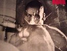 black flag: damaged lp 1984 sst records/cesstone records in excellent condition 
