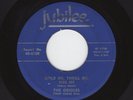 '53 R&B/DooWop ORIOLES Hold Me, Thrill, Kiss Me/Teardrops On My Pillow VG++ HEAR