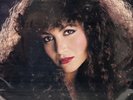 Amanda Miguel : El Ultimo Sonido Vol II 2 Tex Mex Tejano Latin LP 1982
