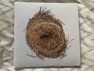 A Ghost Is Born by Wilco (180g Vinyl 2LP), 2005, Rhino) First US Press