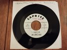 BIG BUDDY LUCAS I Can’t Go Orig. US 45 SOUL R&B Caprice EX *LISTEN*