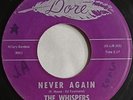 1960s SOUL 45 The Whispers NEVER AGAIN - SLOW JERK 1964 Dore Records HEAR