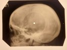 Gene Vincent - Wild Cat X-RAY SKULL BONES RECORDS USSR 6