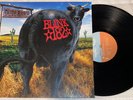 Blink 182 Dude Ranch Deluxe Black vinyl  Shop Radio Cast SRC OOP