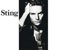 Sting - ...Nothing Like The Sun [VINYL]