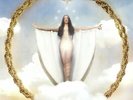 ROSALIA - El Mal Querer - Vinyl (gatefold LP + booklet)