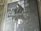 VLAD TEPES A catharsis for human illness