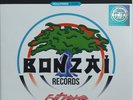 Ultra Limitation 1000 Vinyle Bonzai Classics Compilation II - Yves Deruyter Neuf