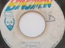 45 RREGGAE / HORACE ANDY / SKYLARKING / BONGOMAN / LISTEN
