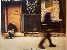 Life Won't Wait by Rancid (Record, 1998) US Import Translucent Orange  1st Press
