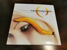 A Perfect Circle Thirteenth Step Vinyl Record 12