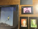 Yeah Yeah Yeahs Cool It Down Red Blue Splatter Autographed Cards Signed Karen O