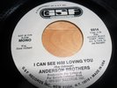 NORTHERN SOUL. ANDERSON BROTHERS. I CAN SEE HIM LOVING YOU.