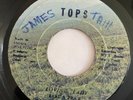 EARL & PAUL - Loving Lady / RARE ISLAND SOUL PSYCH GUYANA 45