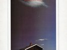 John Martyn - Glorious Fool (LP, Album)