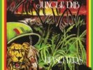 LEE SCRATCH PERRY: BLACKBOARD JUNGLE DUB (LP vinyl *BRAND NEW*.)