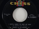 Maurice & The Radiants 