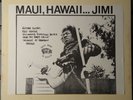 Jimi Hendrix – Maui, Hawaii - 1974 - Trade Mark Of Quality – TMOQ 73011 - VG