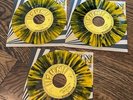 Sun Records 