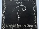 ANTISECT - IN DARKNESS, THERE IS NO CHOICE - SOUTHERN RECORDS 18524-1