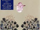 DEVENDRA BANHART - SMOKEY ROLLS DOWN THUNDER CANYON NEW VINYL