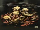 Limp Bizkit ‎– Chocolate Starfish And The Hot Dog Flavored Water (Rare vinyl)