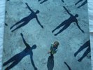 Vinyl / LP:  Muse Absolution (2003) Taste Media
