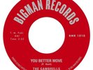 THE GAMBRELLS YOU BETTER MOVE NEW RELEASE BIGMAN  RECORDS NORTHERN SOUL