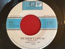 Ray and the Blue Satins  She Doesn't Love Me b/w Thank You For The Memories