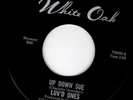 GIRLS IN THE GARAGE 45 - LUV'D ONES - UP DOWN SUE/YEAH I'M FEELIN Florida - HEAR