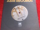 PUNK VINYL 7