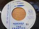 Garage Surf Halloween 45 The Frantics 