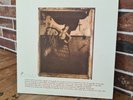 Pixies – Surfer Rosa LP Vinyle CAD803 US press 2004 Label 4AD