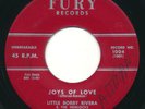 LITTLE BOBBY RIVERA & HEMLOCKS Joys Of Love FURY Gr8 Doo Wop 45 Hear