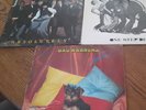 2 x Madness & Bad Manners Vinyl LP'S . Absolutely, One Step Beyond, Loony Tunes