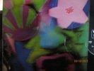 THE CRAZY WORLD OF ARTHUR BROWN VINYL LP 1968 MONO ORIGINAL 1ST PRESS 612005