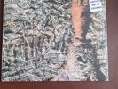 SIOUXSIE AND THE BANSHEES JUJU LP LTD EDN (1,000 ONLY ISSUED) GOLD VINYL