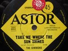 THE SIMMONS LED ZEPPELIN OZ ASTOR PROMO 