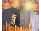 NOFX  White Trash 2 Heebs Purple Vinyl French RSD release Limited to 500 MINT